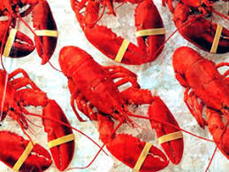 Rubber bands seafood lobster crab